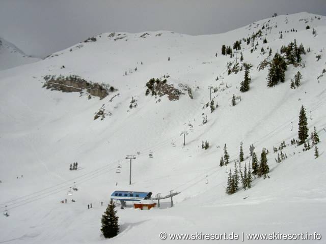 Snowbird