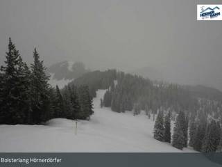 Weiherkopf Bergstation