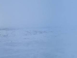 Storefjell - Storefjellstoppen (1,150 m)