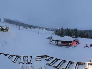 Golsfjellet Alpinsenter Bualie (890 m)