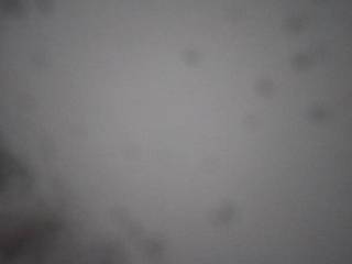 Sölkpass - Blick nach Norden (1,850 m)