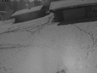 La Pesse les bois ronds