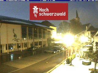 Abete della Foresta Nera