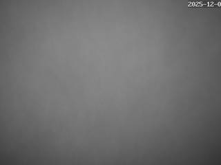 Sciovia Salmendingen/Salmendingen/Sonnenbühl