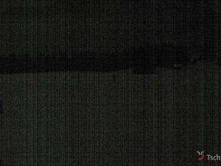 Waldstafel/Waldstafelhock