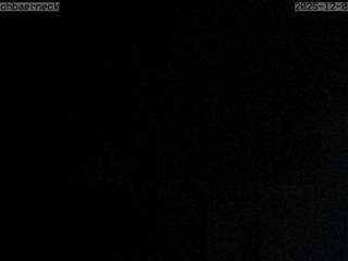 Almhaus Hochbärneck/Waldwiese