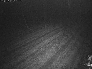 Ski Centrum OAZA/Vleku Oaza II (BBK) výstup