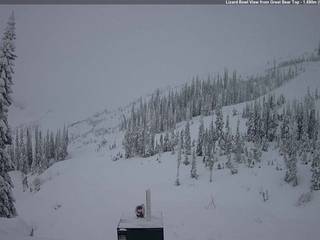 Great Bear Top/Lizard Bowl