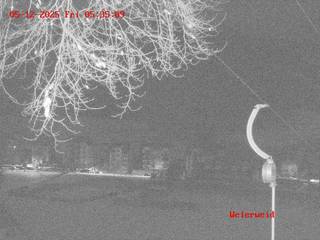 Sciovia Beckenhalde/Weiherweid