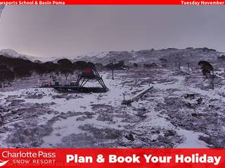 Charlotte Pass/Kosi Carpet