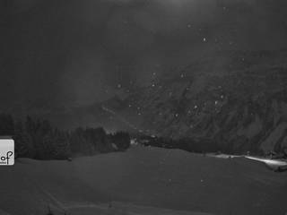 Hertehof (Damüls) (1.600 m)