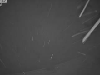 Rifugio sciistico Aeschiried/Kandertal