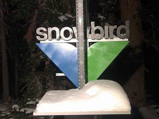 Snowbird Snowstake