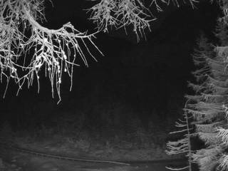 Erjavčeva House/Vršič