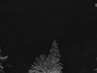 Erjavčeva House/Prisojnik