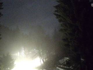 Spalona/Sci di fondo