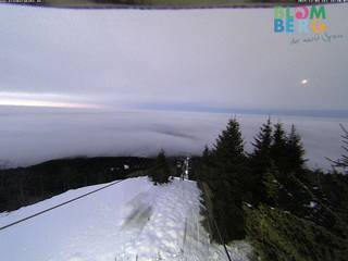 Blombergbahn/Bergstation (1.236 m)