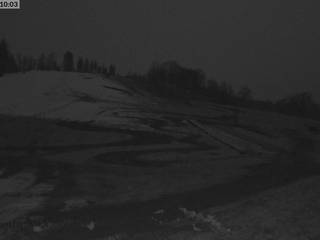 Max-Wild-Arena/Kinderland