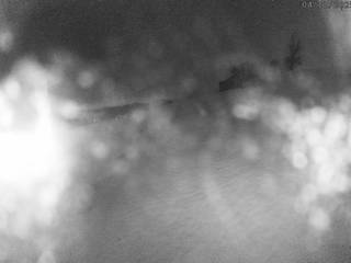 Sciovia/area sciistica