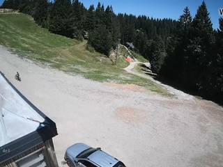 Pungart