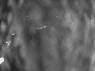 UFO - ski Bukowina Tatrzańska