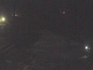 Wierchomla - Stonoga