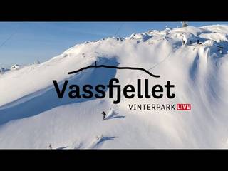 Vassfjellet