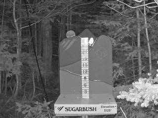 Allyns Lodge Snow Stake