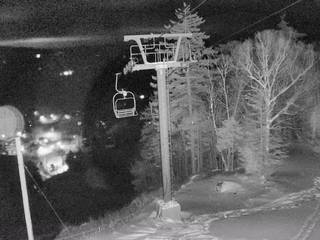 Mad River Glen/Birdcage