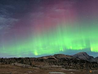 Aurora