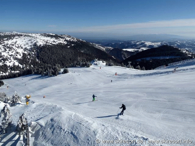 Kopaonik