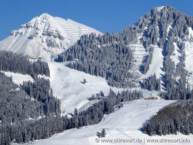 Skiarena Bergbahnen Berwang