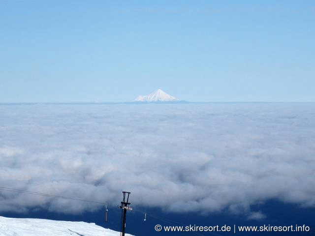Whakapapa
