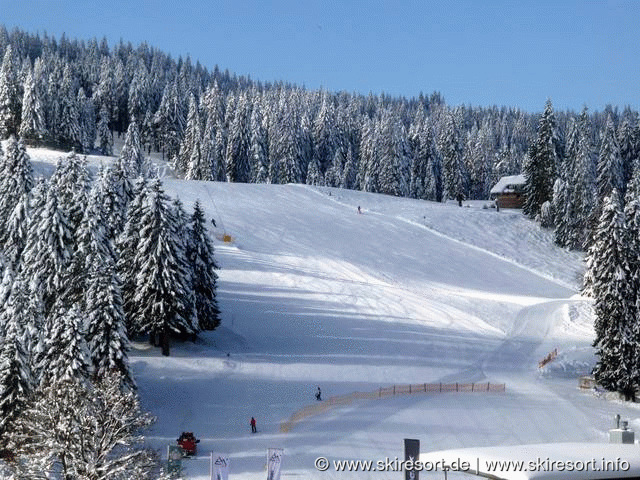 Tageskarte Liftverbund Feldberg