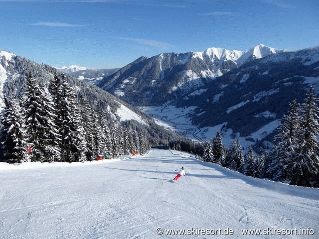 Riesneralm Donnersbachwald