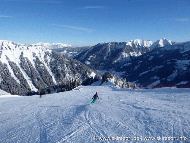 Riesneralm Donnersbachwald