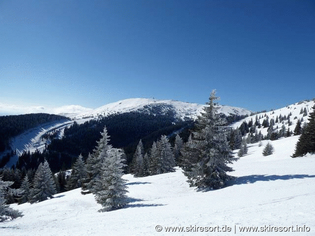 Kopaonik
