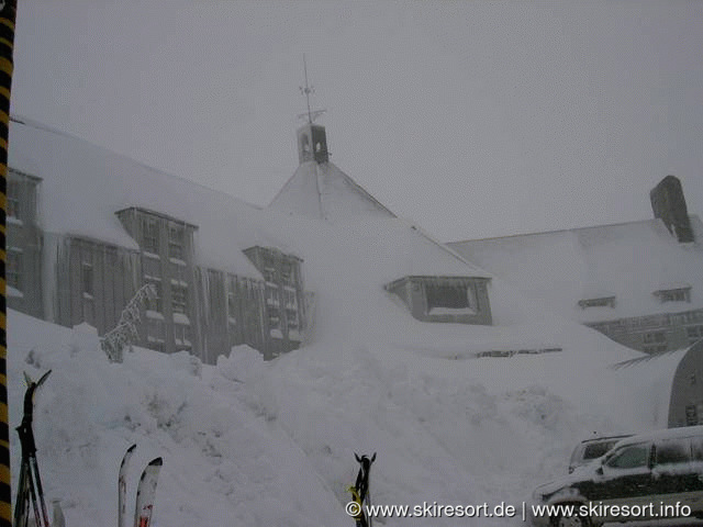 Timberline
