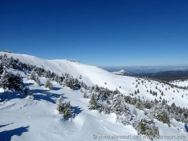 Kopaonik