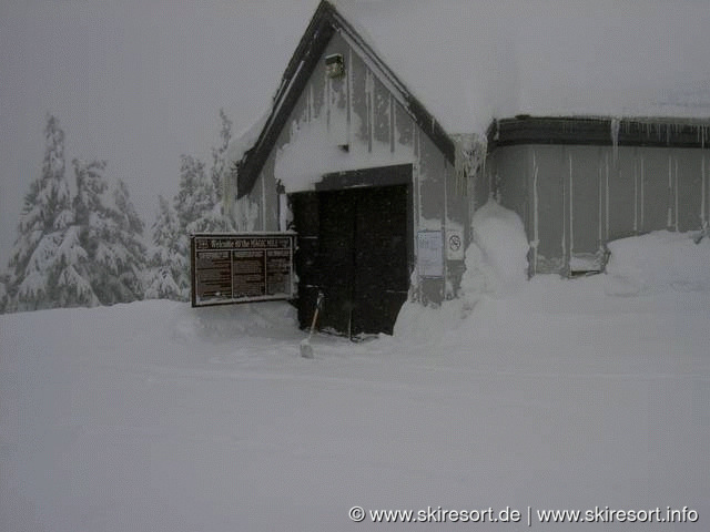 Timberline