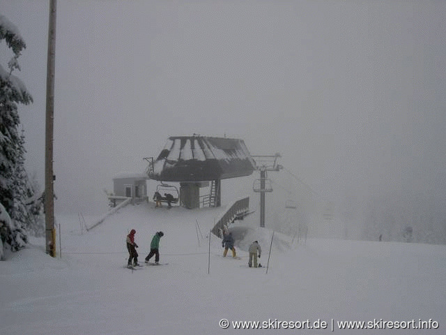Timberline