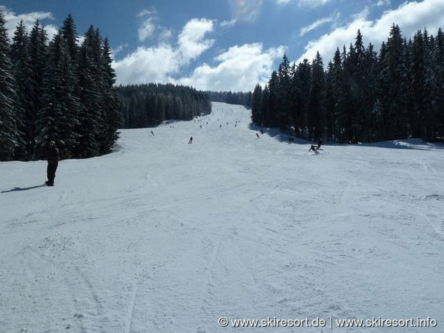 Snow Space Salzburg, Kleinarl-Flachauwinkl-Zauchensee & Altenmarkt-Radstadt