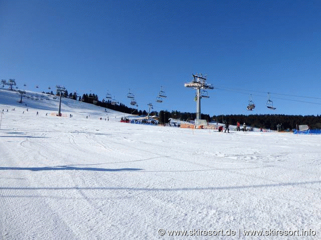 Zieleniec