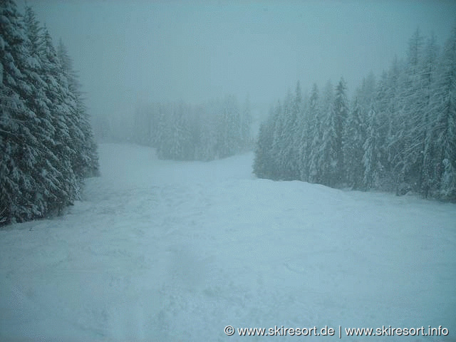 Whitefish Mountain Resort