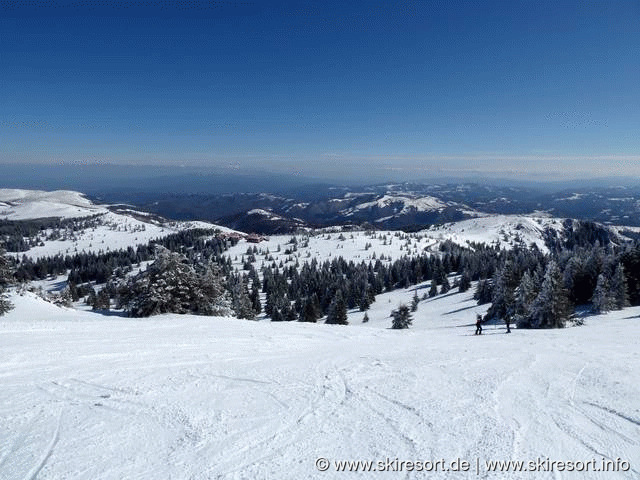 Kopaonik