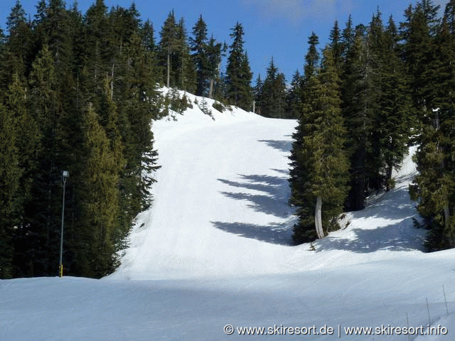 Mount Seymour