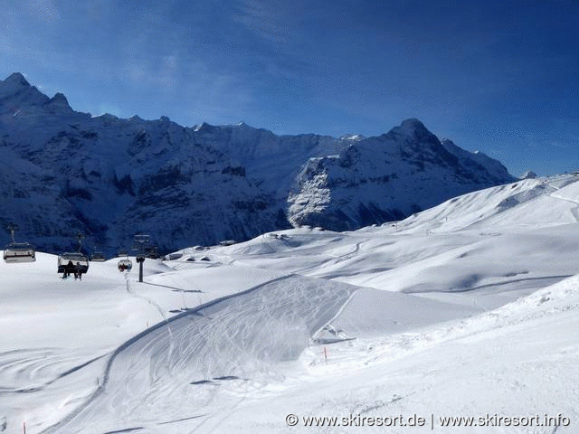 Skipass Jungfrau