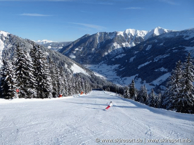 Riesneralm Donnersbachwald