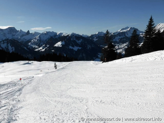 Diedamskopf – Schoppernau