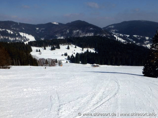 St. Blasien-Menzenschwand/Spießhorn